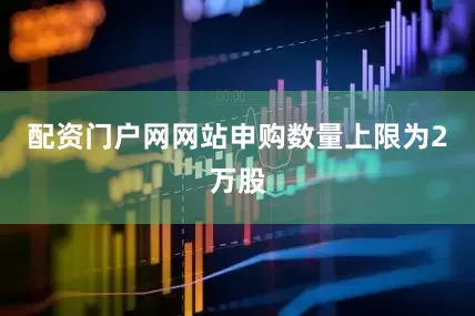 配资门户网网站申购数量上限为2万股