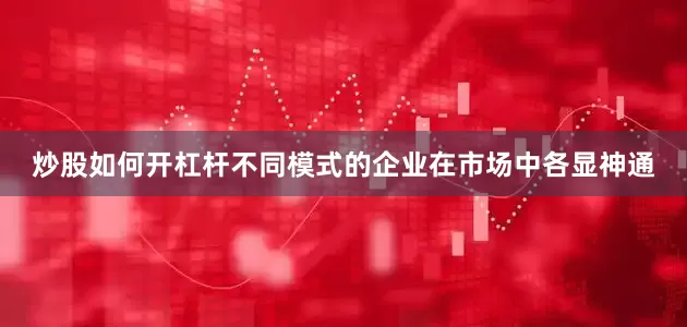 炒股如何开杠杆不同模式的企业在市场中各显神通