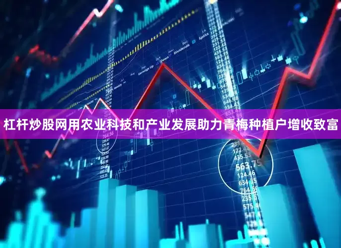 杠杆炒股网用农业科技和产业发展助力青梅种植户增收致富