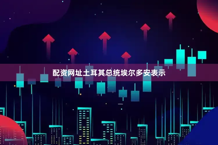 配资网址土耳其总统埃尔多安表示