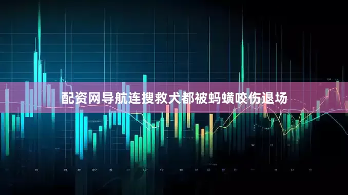 配资网导航连搜救犬都被蚂蟥咬伤退场