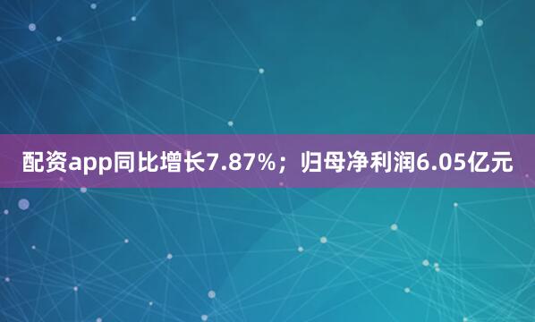 配资app同比增长7.87%；归母净利润6.05亿元