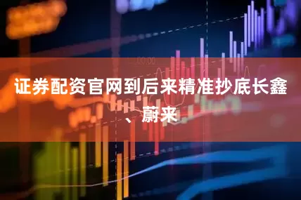 证券配资官网到后来精准抄底长鑫、蔚来